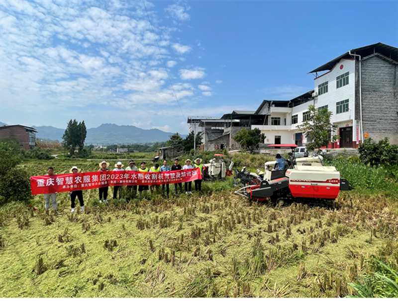 1703726384154750.png 圖片1.png