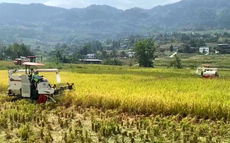 1703726400534154.png 圖片2.png