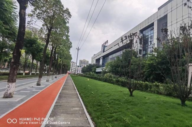 1735781798917996.jpeg 14.jpeg