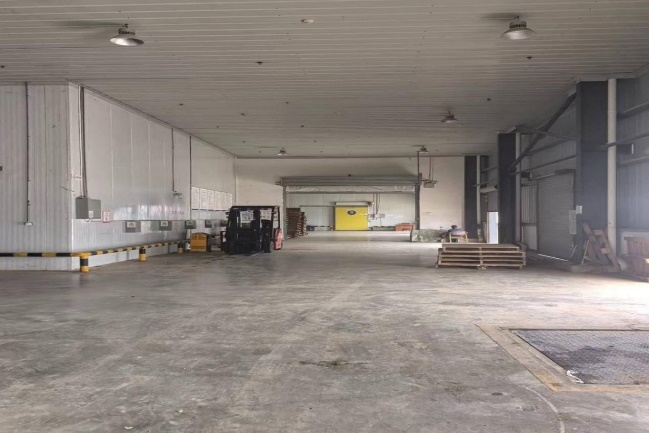 1735890778348987.jpeg 1735890778348987.jpeg